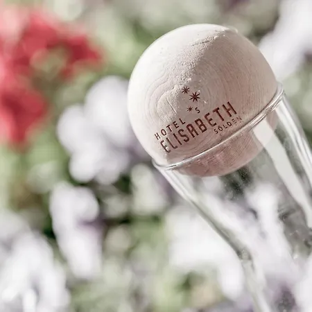 Elisabeth Superior Hotel 3*